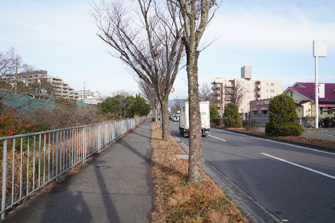 右手にトマト＆オニオン（千里万博公園店）が見えます。