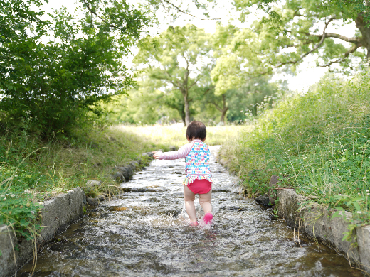 万博記念公園