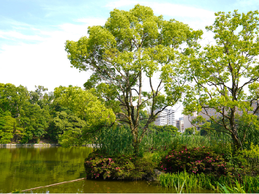 千里南公園（南千里駅前）