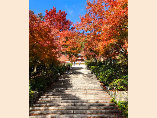 応頂山　勝尾寺（箕面国定公園内）