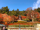 応頂山　勝尾寺（箕面国定公園内）