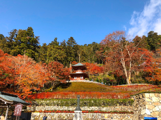 応頂山　勝尾寺（箕面国定公園内）