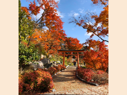 応頂山　勝尾寺（箕面国定公園内）