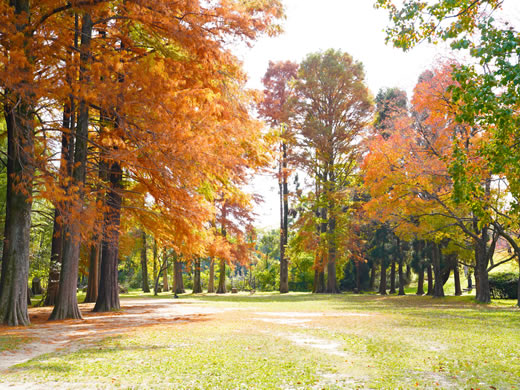 千里中央公園