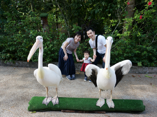 シンガポールの動物園にて。シンガポールZOOは広大な敷地で見どころたっぷりでした